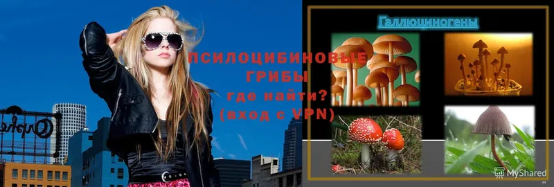 Галлюциногенные грибы Magic Shrooms  Зерноград 